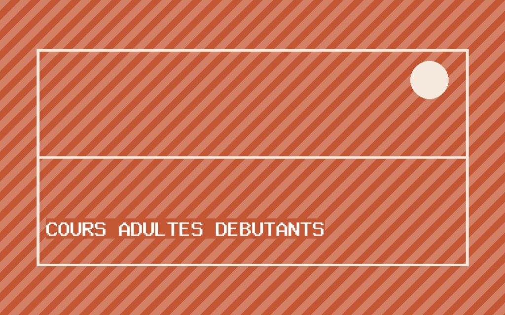 Cours adultes debutants